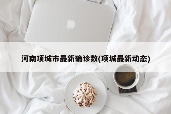 河南项城市最新确诊数(项城最新动态)