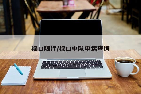 禄口限行/禄口中队电话查询