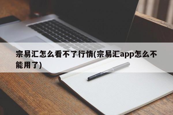 宗易汇怎么看不了行情(宗易汇app怎么不能用了)