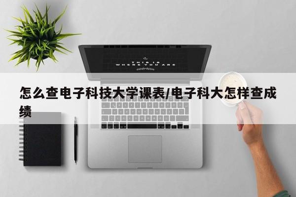 怎么查电子科技大学课表/电子科大怎样查成绩